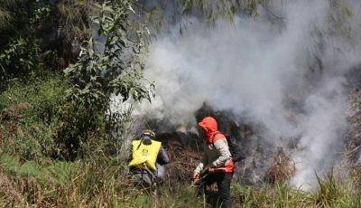 Bromo Kebakaran Lagi, Kali Ini di Kawasan Gunung Batok