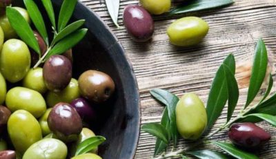 Studi Temukan Senyawa Alami Buah Zaitun Bisa Jadi Obat Diabetes