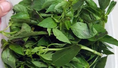 Pentingnya Mengkonsumsi Daun Kemangi
