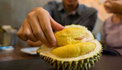 Asal-Usul Buah Durian Di Nusantara Dan Manfaatnya
