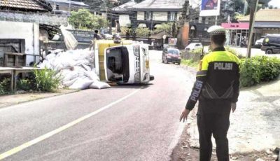 Truk Muat Pupuk Terguling Di Penelokan