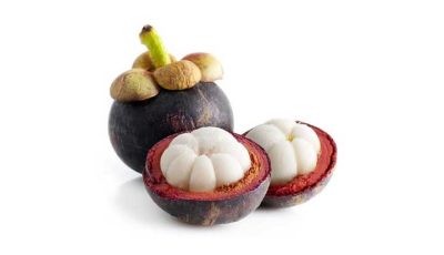 buah manggis