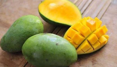 Konsumsi Mangga Berlebihan, Dari Gangguan Pencernaan Hingga Alergi
