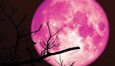 Strawberry Moon