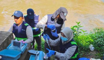 Dampak pencemaran Sungai Cisadane akibat kebakaran gudang pestisida