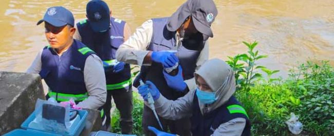 Dampak pencemaran Sungai Cisadane akibat kebakaran gudang pestisida