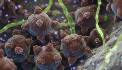 Ilustrasi cara pencegahan virus Nipah dan risiko penularannya