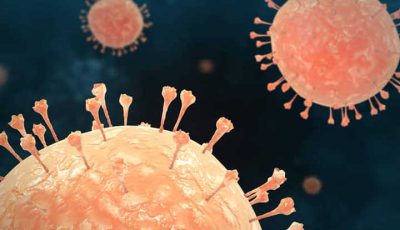 virus nipah