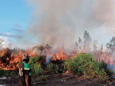 kebakaran_hutan_kaltim