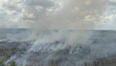 Petugas BPBD Kutai Barat melakukan pemadaman kebakaran hutan dan lahan di Kecamatan Damai