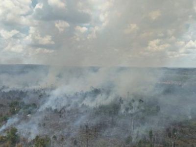 Petugas BPBD Kutai Barat melakukan pemadaman kebakaran hutan dan lahan di Kecamatan Damai