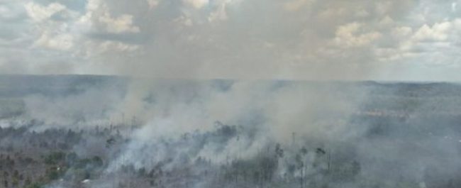 Petugas BPBD Kutai Barat melakukan pemadaman kebakaran hutan dan lahan di Kecamatan Damai