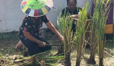 Masyarakat adat suku Dayak di Kampung Ujoh Bilang Mahakam Ulu menggelar prosesi ritual adat Nebukoq syukuran panen padi