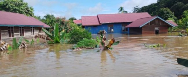 Kondisi topografi wilayah Kabupaten Mahakam Ulu yang sedang dipetakan untuk kawasan permukiman baru bebas banjir