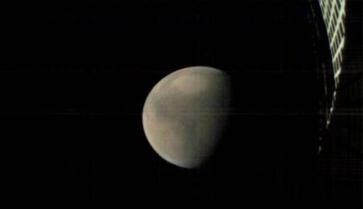 Ilustrasi eksperimen simulasi biologi jamur Trichoderma pada material regolit Mars buatan untuk proyek pertanian antariksa NASA