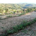 Ilustrasi lahan pertanian kering retak akibat cuaca ekstrem dan krisis perubahan iklim global