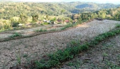Ilustrasi lahan pertanian kering retak akibat cuaca ekstrem dan krisis perubahan iklim global