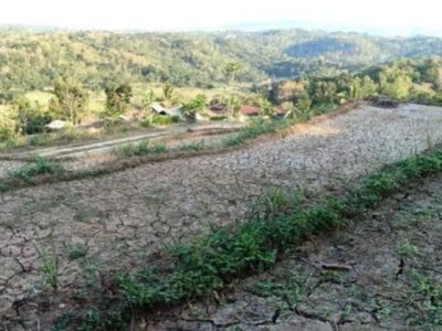 Ilustrasi lahan pertanian kering retak akibat cuaca ekstrem dan krisis perubahan iklim global