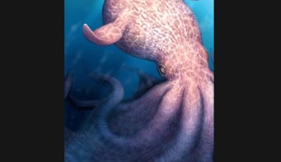 Ilustrasi rekonstruksi digital predator puncak gurita purba raksasa Nanaimoteuthis haggarti di lautan era Cretaceous