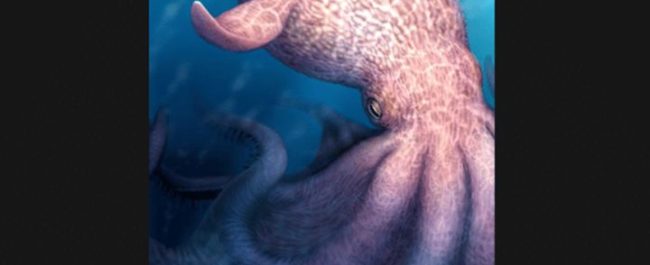 Ilustrasi rekonstruksi digital predator puncak gurita purba raksasa Nanaimoteuthis haggarti di lautan era Cretaceous